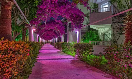 هتل بندیس بیچ بدروم